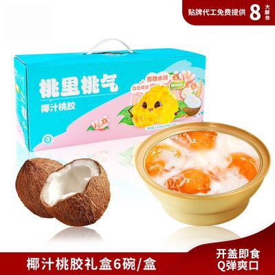 kopen Draagbaar Kokoswater Perzikgum Sneeuw Schimmel Dessert Geschenkdoos online vervaardiging