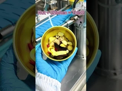 Kippensoep met noten en lingzhi